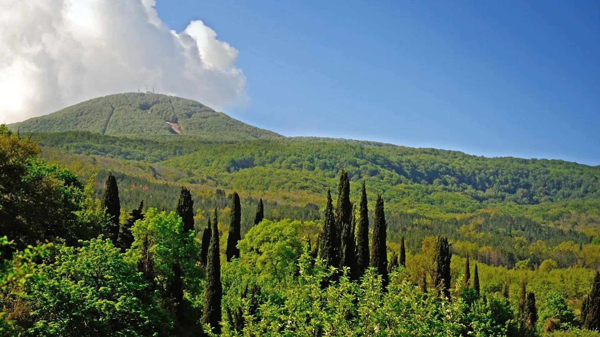Casa Giulio Villa Vivo d'Orcia Holiday home